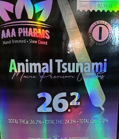 Animal Tsunami 1g Pre Roll